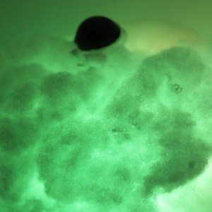 Clouds Astronaut Led Colorful Lamp